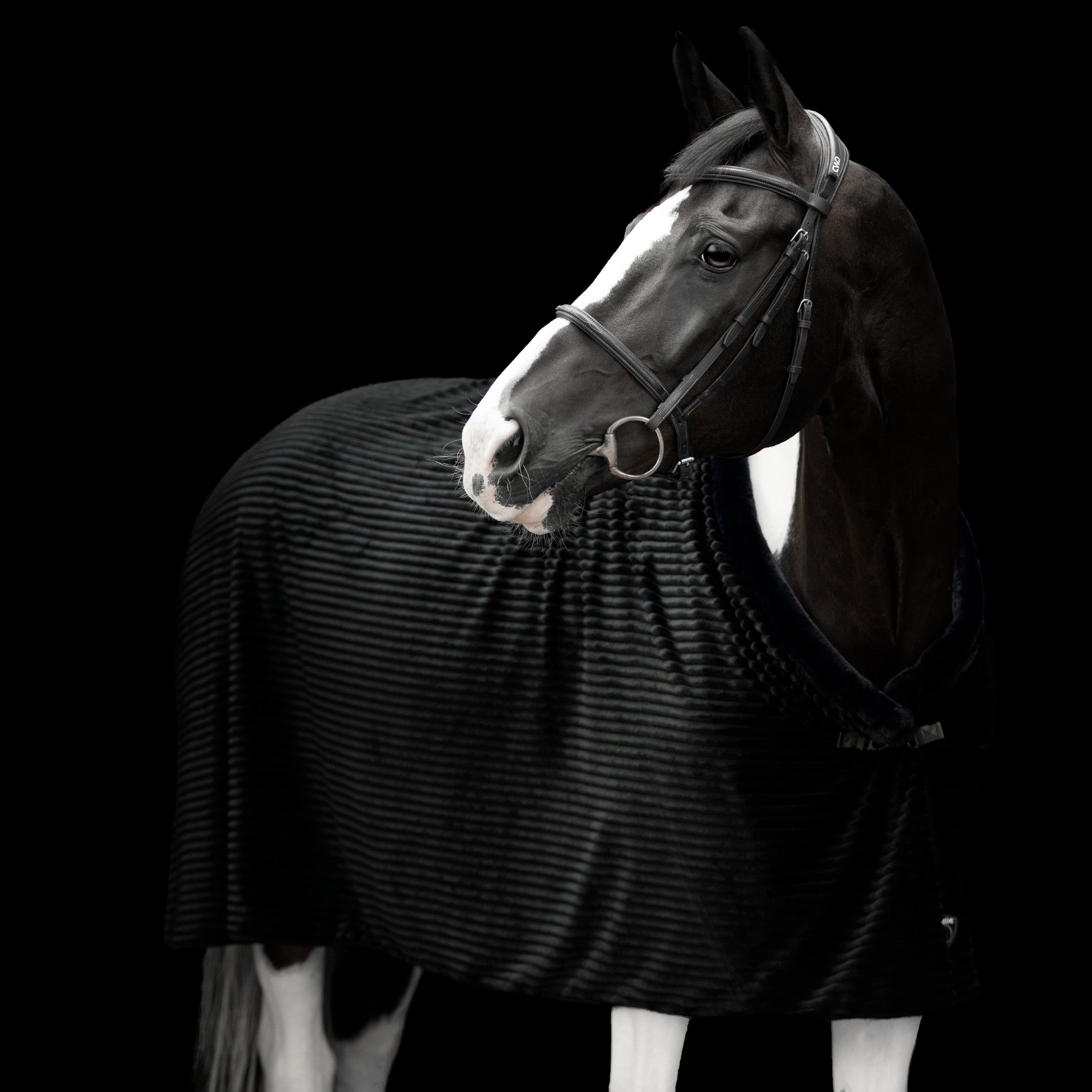 Couverture de luxe en fausse fourrure noire